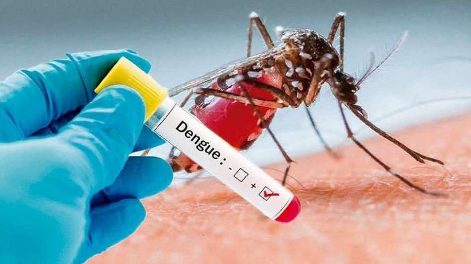 Dengue: “Estamos frente a una situación epidémica”