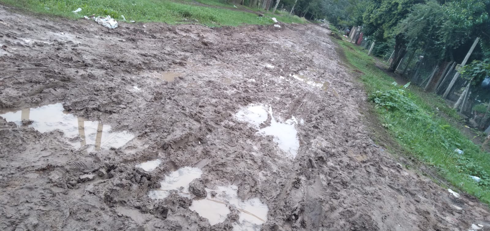 BARRIO LOS QUINCHOS ENTRE EL ABANDONO DEL MUNICIPIO Y LA MOTOSIERRA DE MILEI