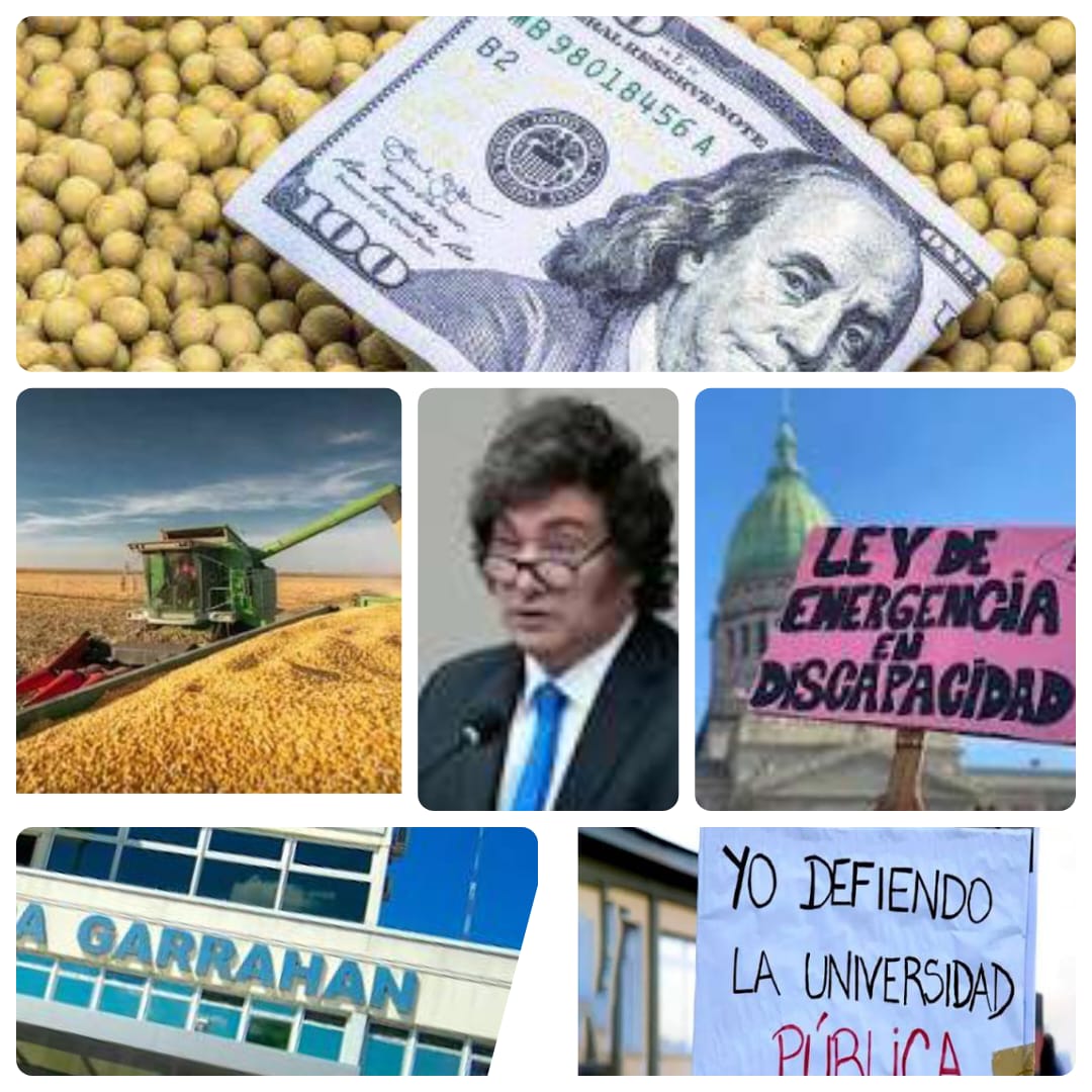 MILEI: RETENCIONES CERO PARA EL CAMPO, PERO TAMBIEN CERO PESOS PARA GARRAHAN, UNIVERSIDADES Y DISCAPACIDAD